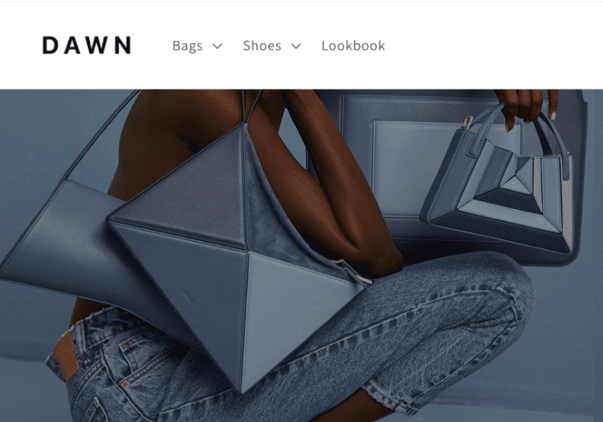 Screenshot of the Dawn Shopify theme